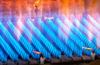 Blakebrook gas fired boilers